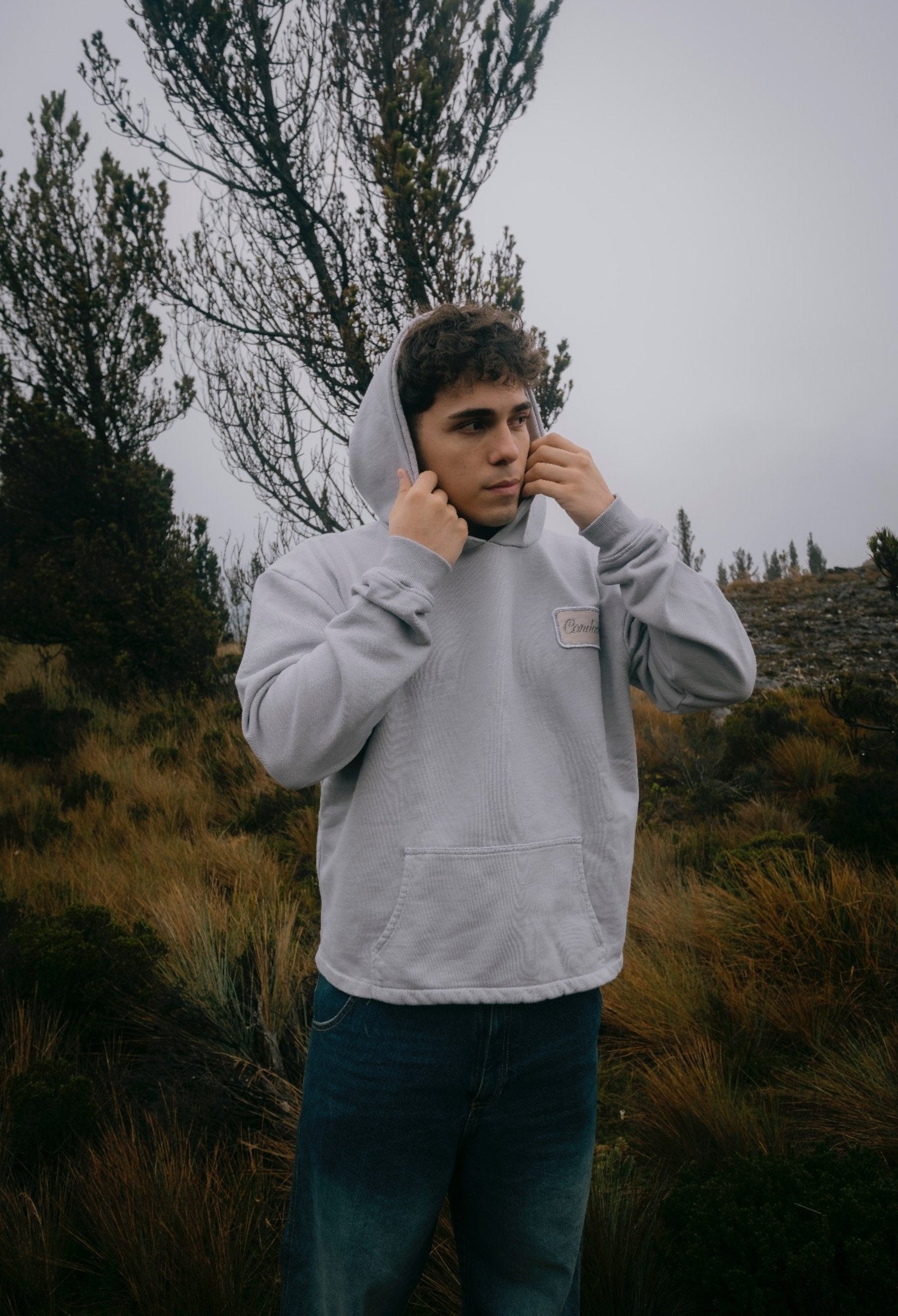 Hoodie Cropped | Soft Gray