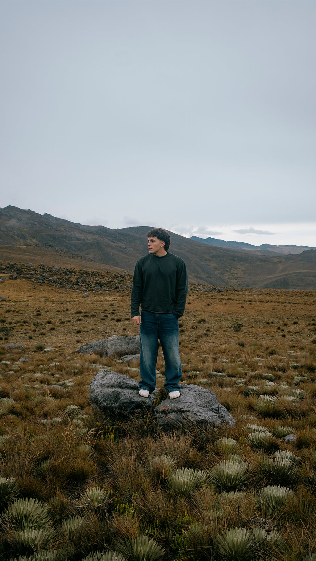 Long Sleeve | Hunter Green