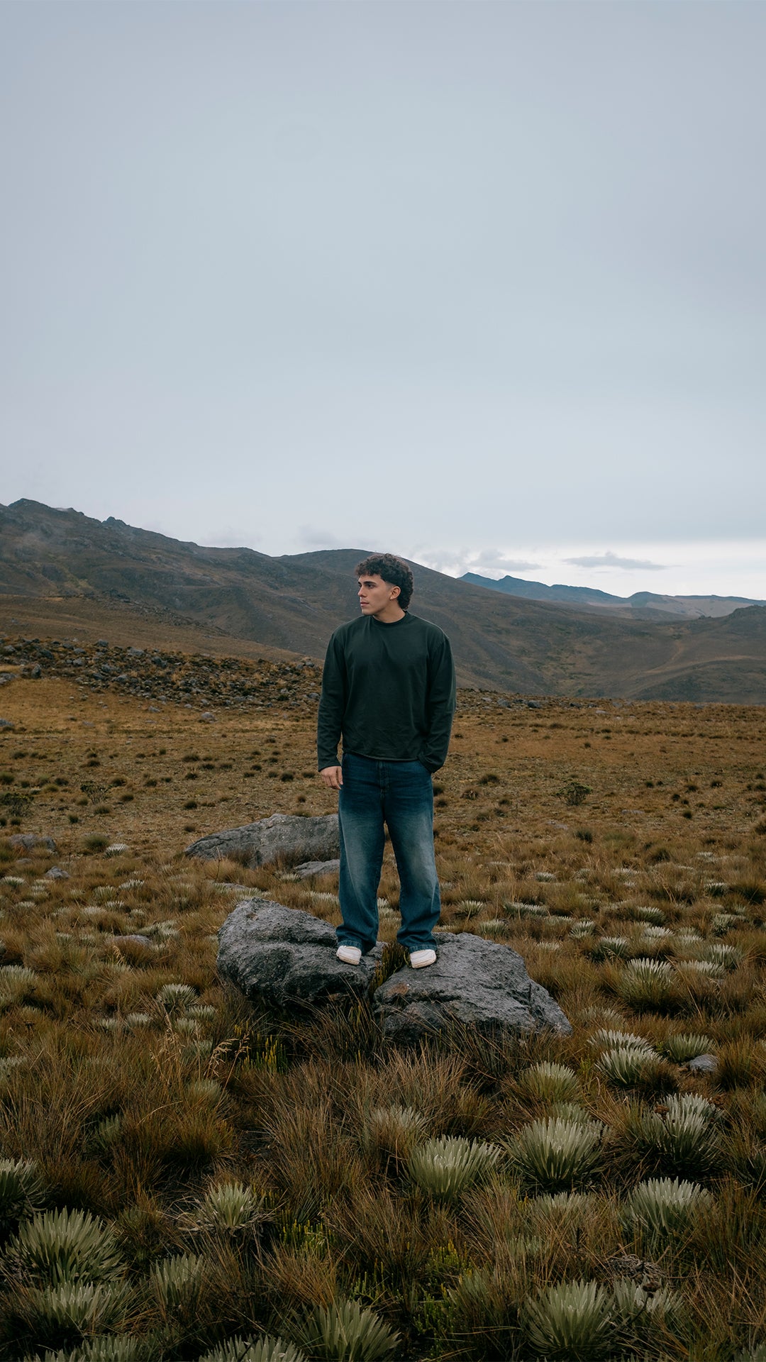 Long Sleeve | Hunter Green